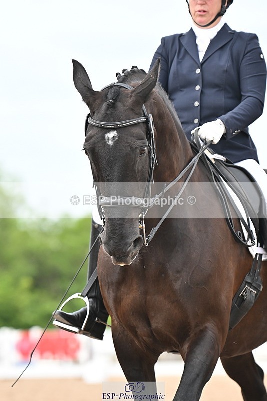 240621A-152058-04706 - Cls 13 BD Adv Medium 91