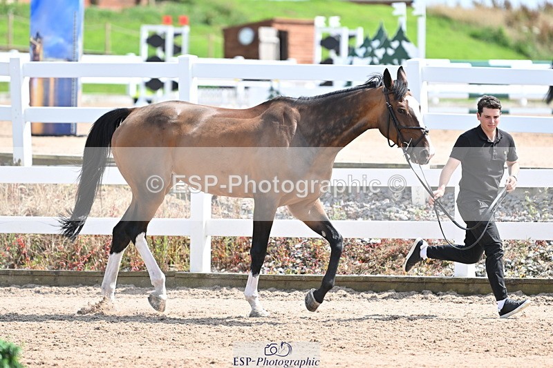 240717A-151747-02728 - Trot Up 3pm to 4pm