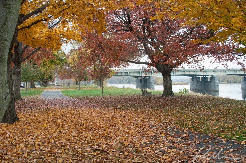 _WDB3250 - Autumn