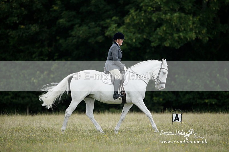 BVRC 030721 387 - Bourne Valley Riding Club Dressage 03/07/21