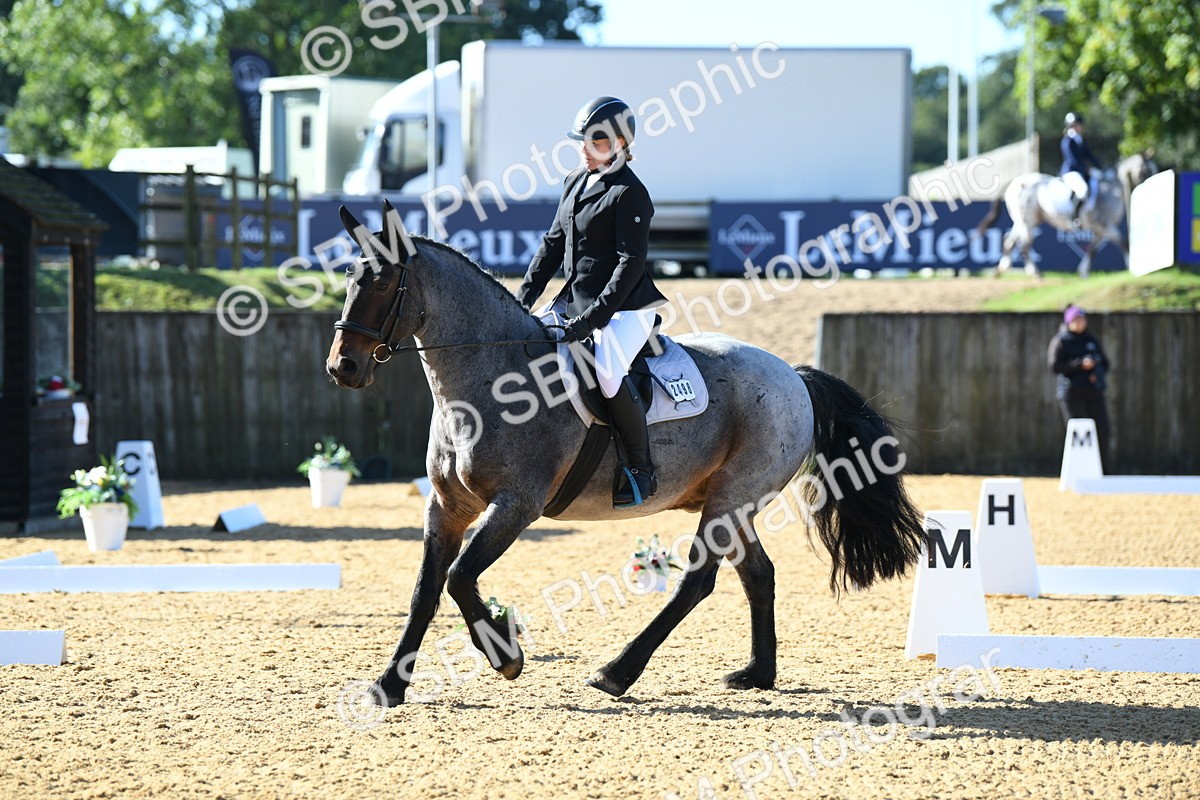 SBM_02333 - D7 Small Tour Championship Prelim 1