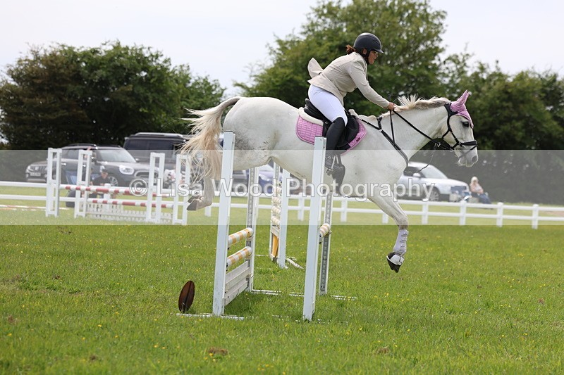 3E7A1662 - Class 13: Senior British Novice/90cm open