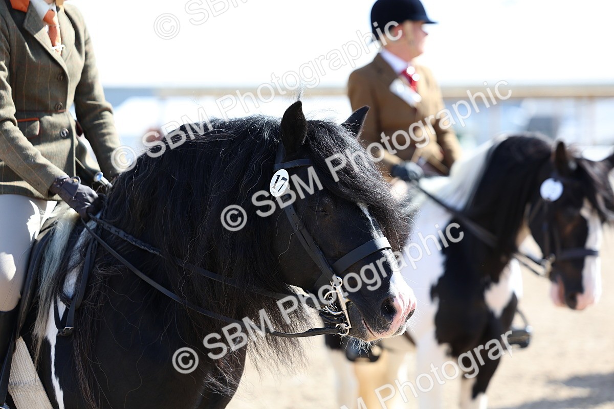 SBM_11436