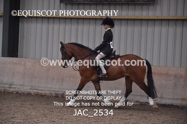 JAC_2534 - CLASS 3 Intermediate Working Hunter