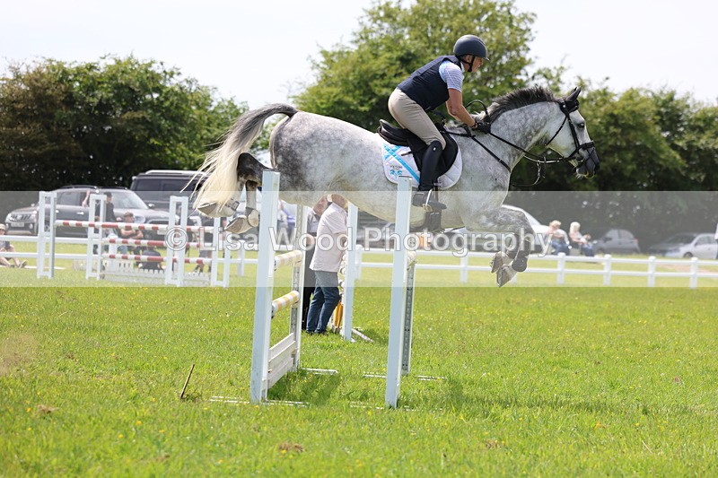 3E7A1397 - Class 12: Senior Foxhunter/1.20 open