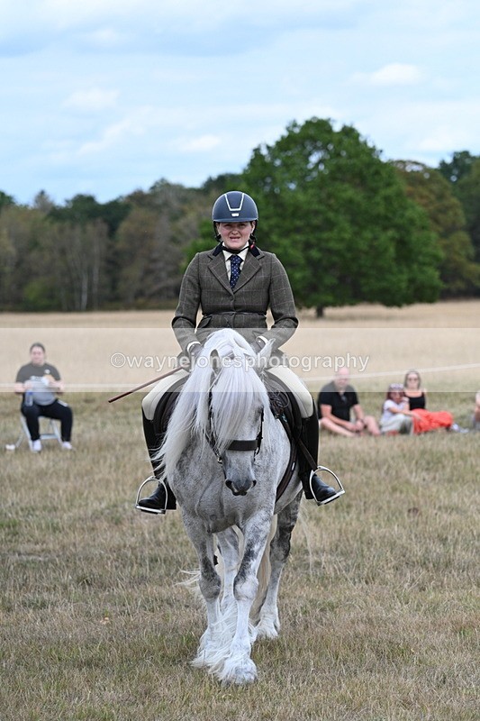 WJ7_5157 - Class 12 Ridden Cob