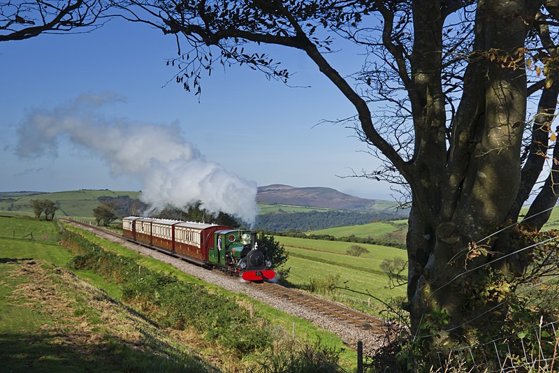 Blanche's passport - Trains of Thought