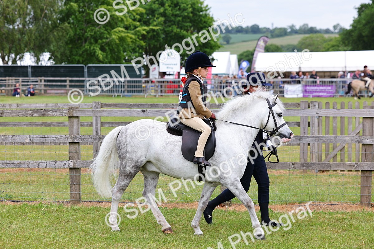 SBM_08085 - Class 42-43 - LIHS BSPS Heritage Working Sports Pony