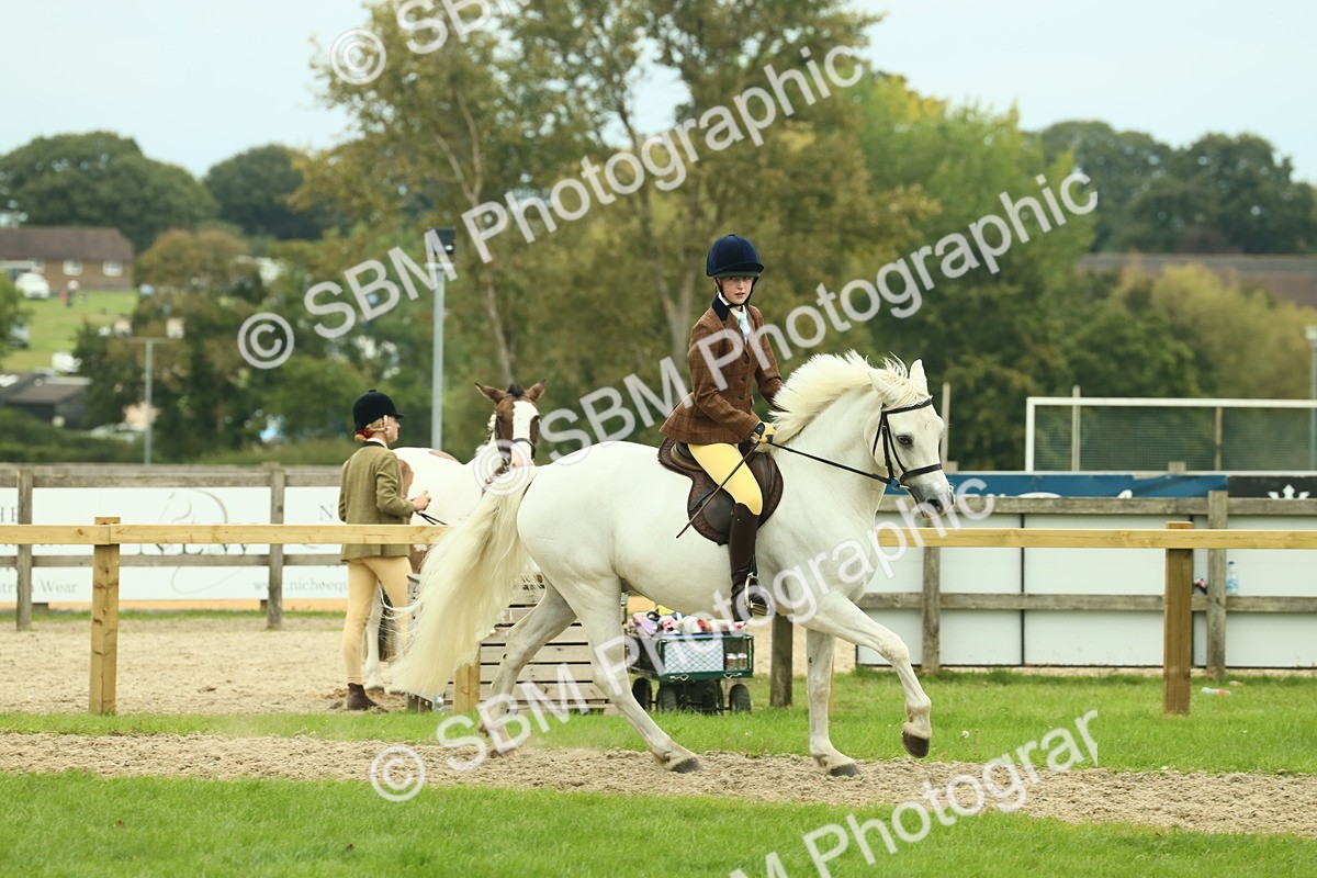 SBM_72170 - S60 - Mountain & Moorland Ridden Large Breeds