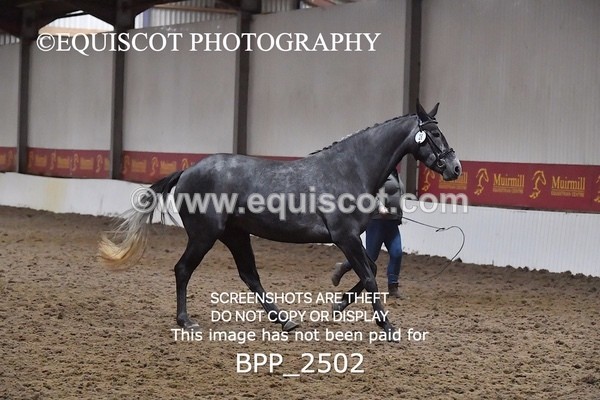BPP_2502 - LOOSE JUMPING / SPSS