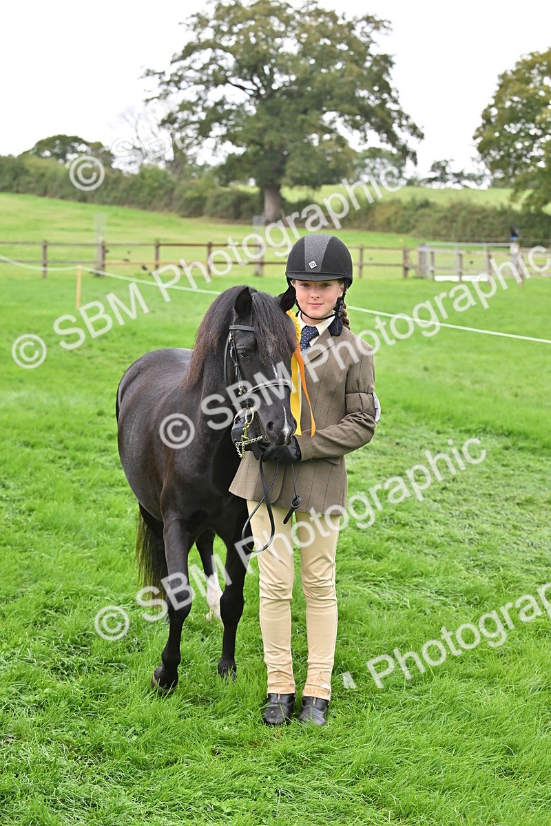 SBM_61100 - S48 - Mountain & Moorland In Hand Small Breeds