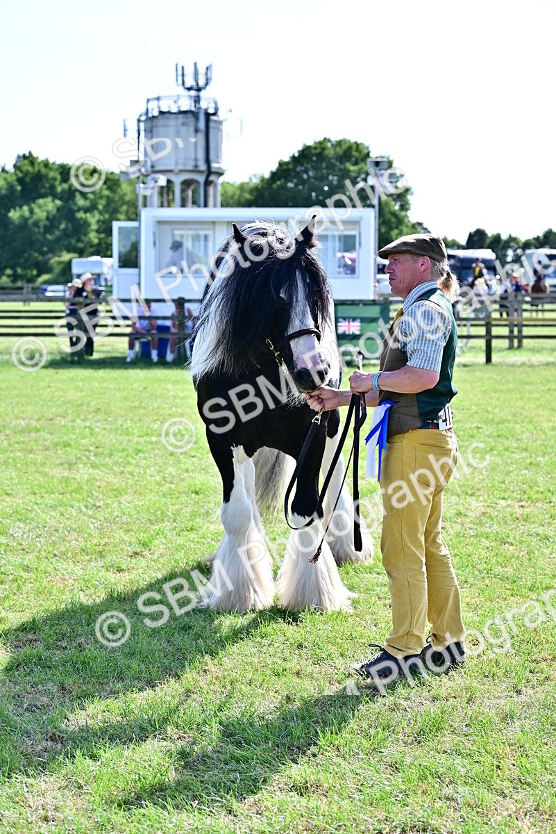 SBM_09505 - Class 63-65 - Traditional Gypsy Cobs In Hand & Ridden