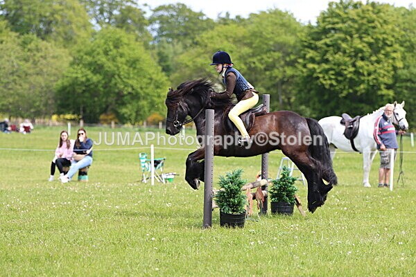 IMG_3269 - Working Hunter