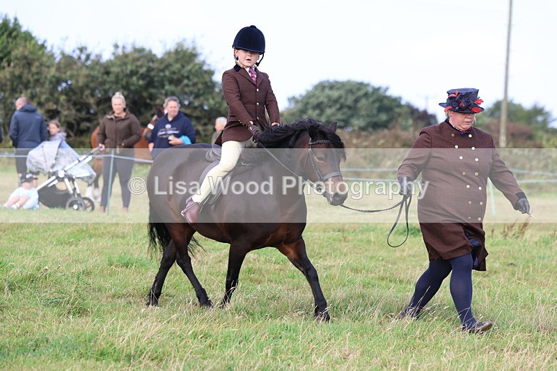 3E7A3599 - Class 2: Lead rein