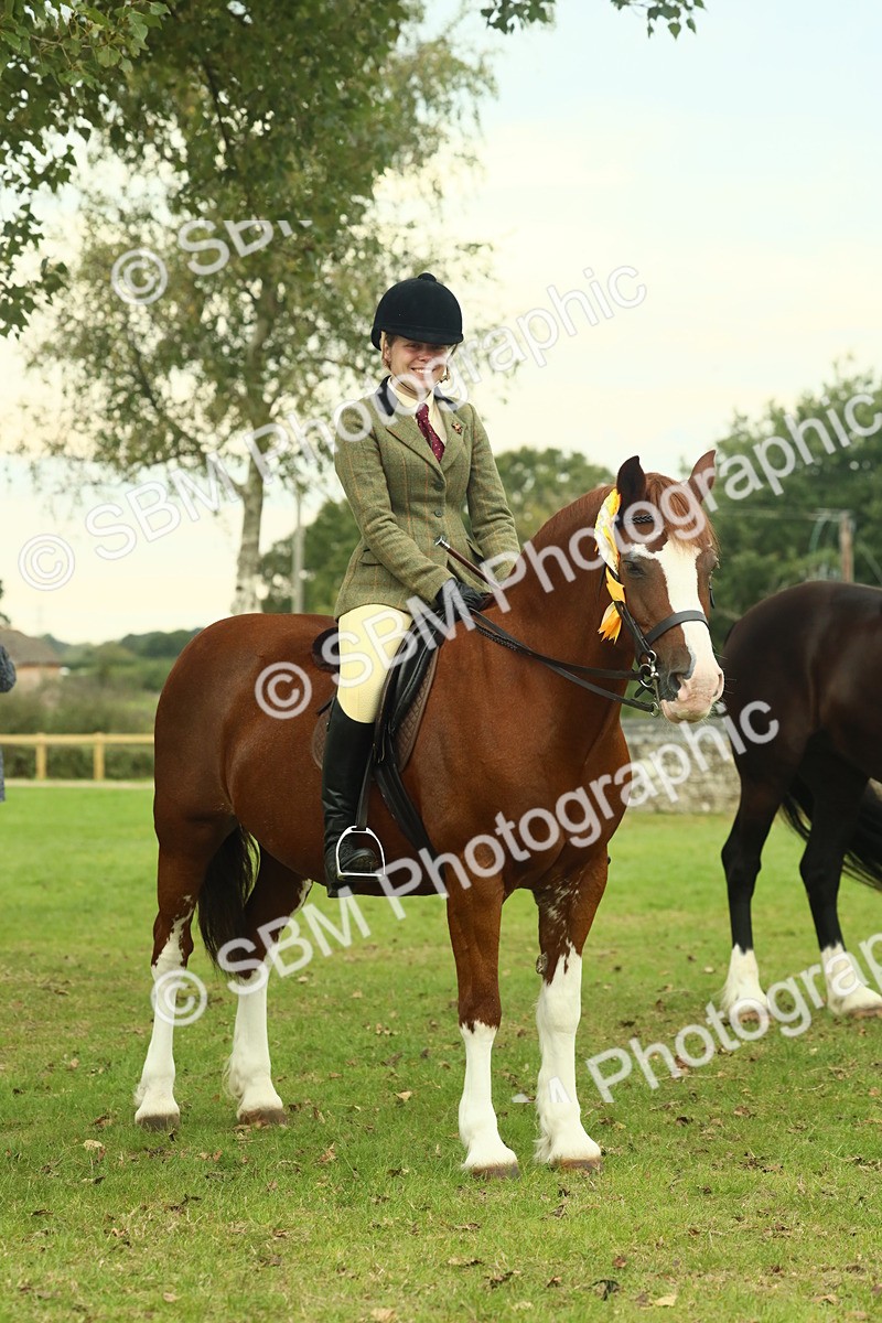 SBM_72332 - S60 - Mountain & Moorland Ridden Large Breeds