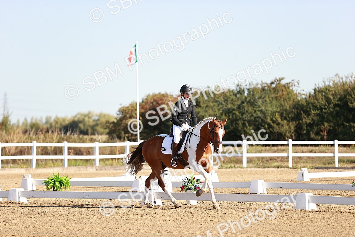 SBM_004201 - Class 12 - Novice 5 - 9.07-10.10