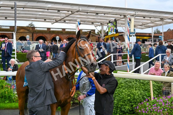 230923-Race 1-Invincible Molly-2950 - Race 1 2.00pm Jigsaw Sports Branding EBF Fillies' Novice Stakes