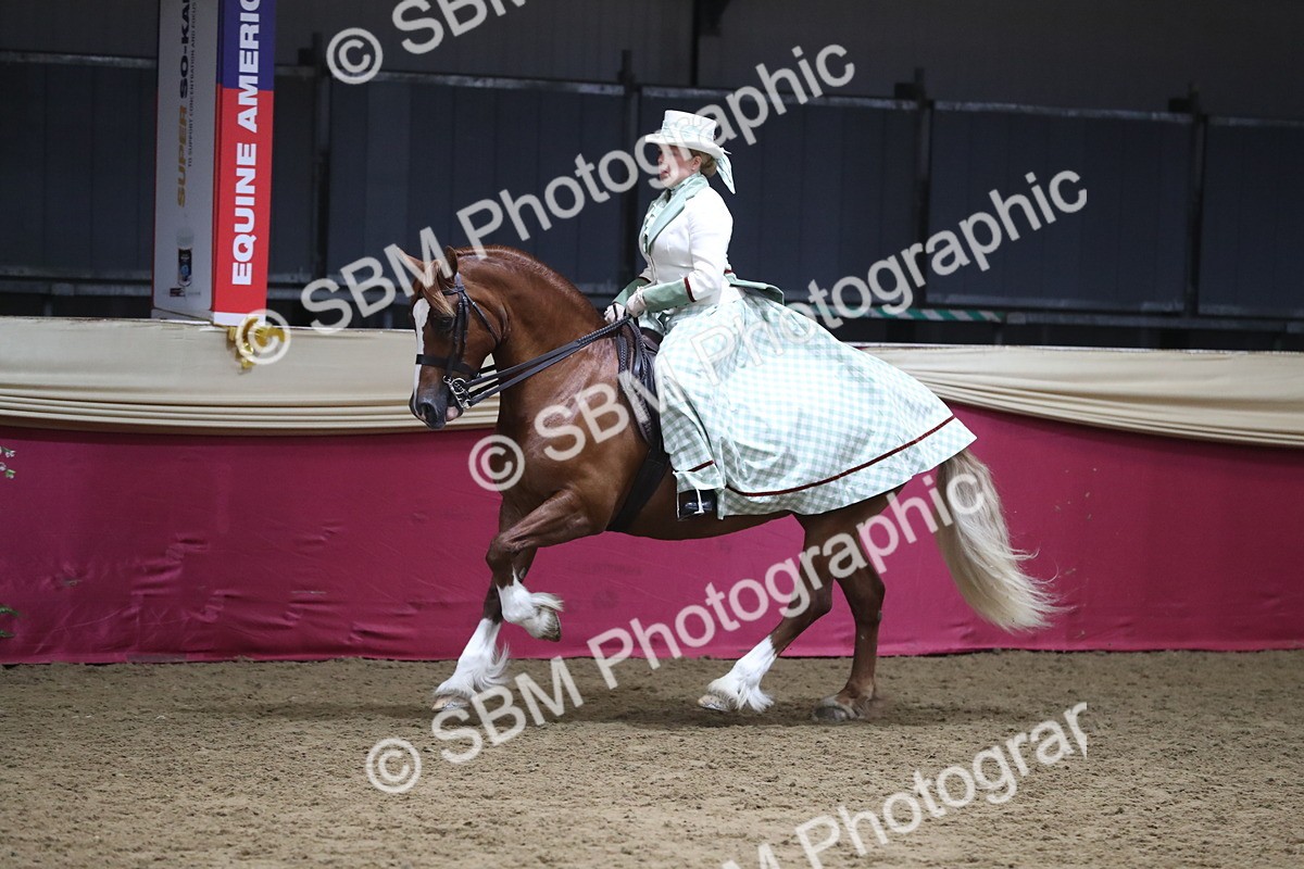 SBM_12028 - Class 106 Ridden Costume- Astride Adult (15-19)