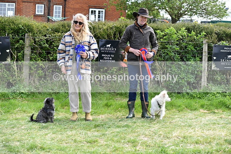 WJ5_0869 - Best in Show Championship