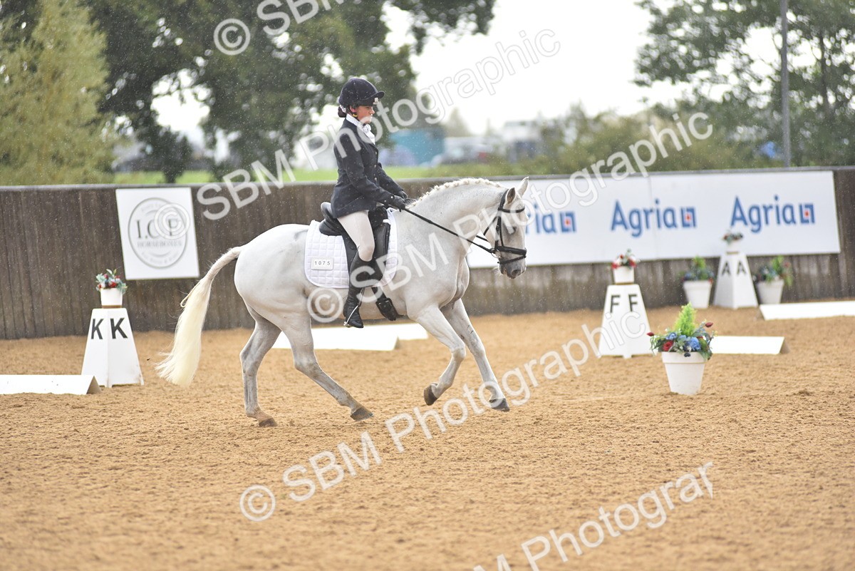 SBM_02073 - D7 - Small Tour Championship Prelim 2