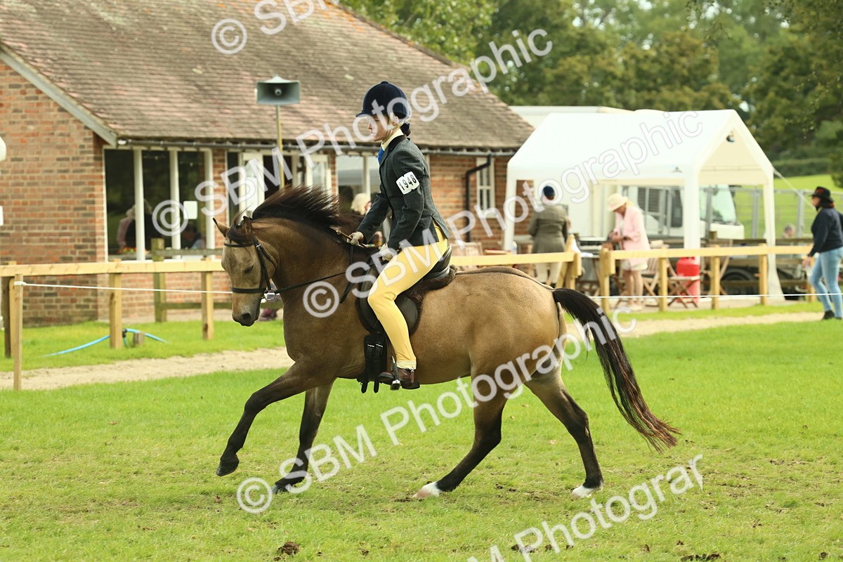 SBM_69837 - S59 - Mountain & Moorland Ridden Small Breeds