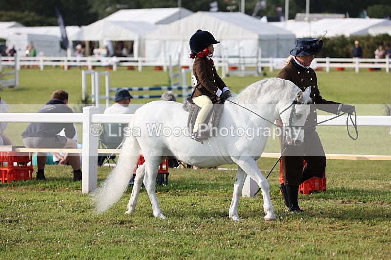 JPP_0162 - Class 14: Cornish Combination Leading Rein