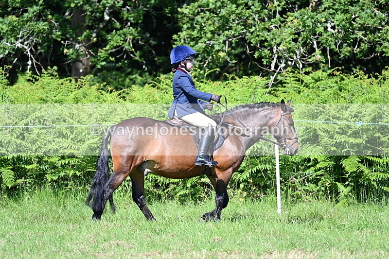 WJ7_0646 - Class 8 First Rally Pony