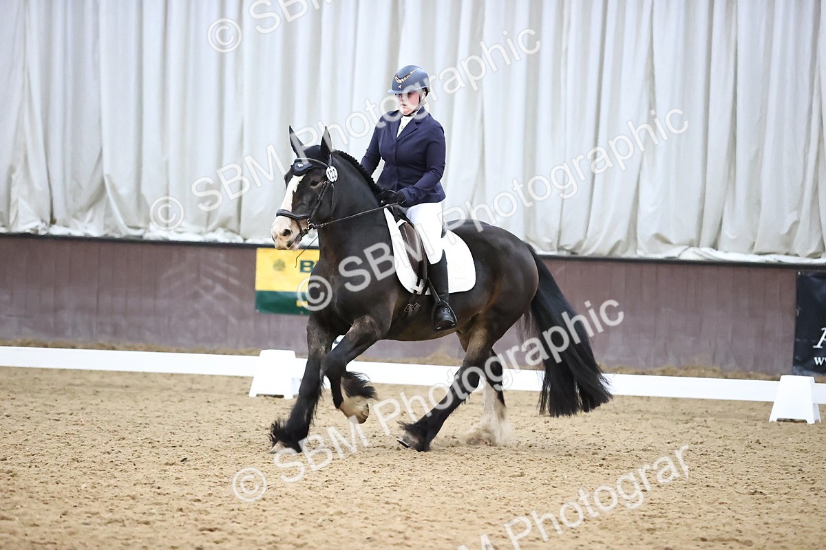 SBM_004297 - Intermediate
