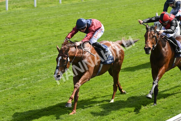 yr12052022r2-25 - Race 2 2.25pm Al Basti Equiworld Dubai Middleton Fillies' Stakes