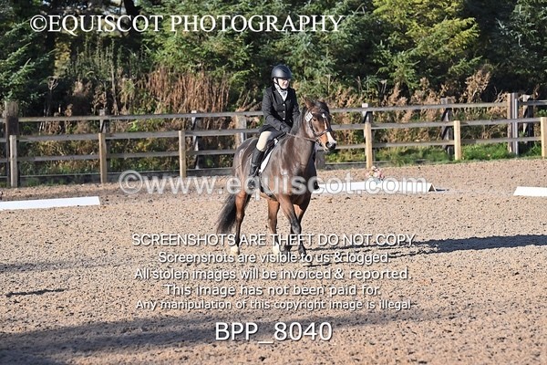 BPP_8040 - LONG ARENA