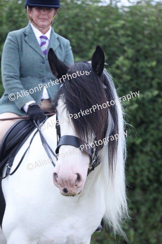 20250831-4304 - Class 20 - Ridden Coloured