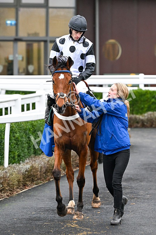 281225-Race 3-Supreme George-0469 - Race 3