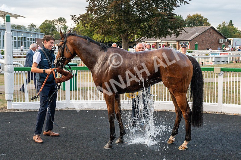 150825-Race 5-Jez Bomb-8749 - Race 5