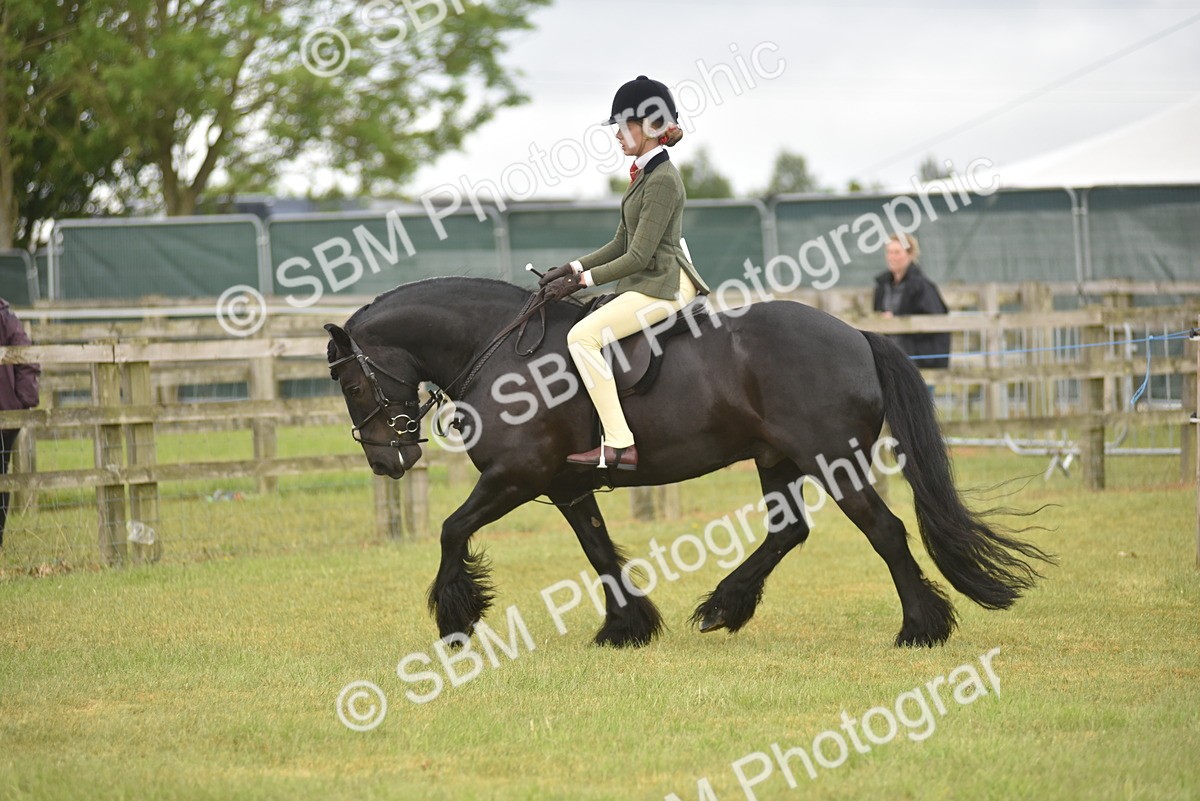 SBM_12037 - Class 110-112 - LIHS BSPS Performance Pones