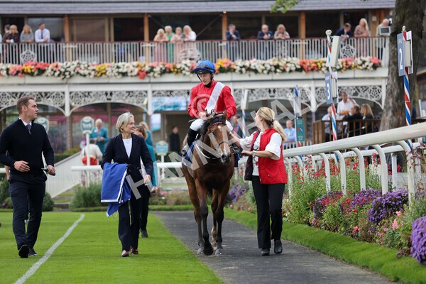 yr09102021r2-25 - Race 2 2.02pm Coral Beaten-By-A-Length Free Bet Rockingham Stakes