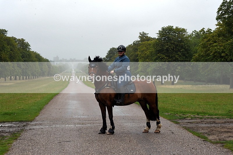 TT3_8349 - Time at Crossing 10:16 to 11:38