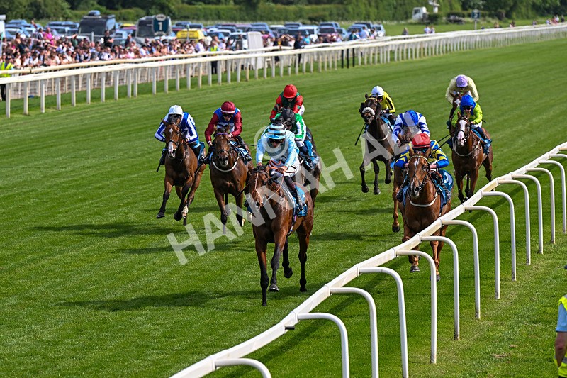 230526-Race 6-Pearl River-0607 - Race 6 16.25pm Royal Yorkshire Regiment Handicap