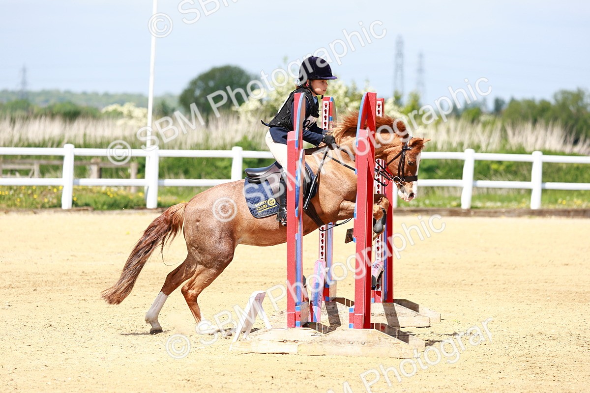 SBM_007718 - Class 3 - 60cm