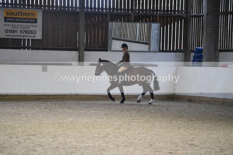 WJ5_8461 - Class 14 Novice Ridden/Rider