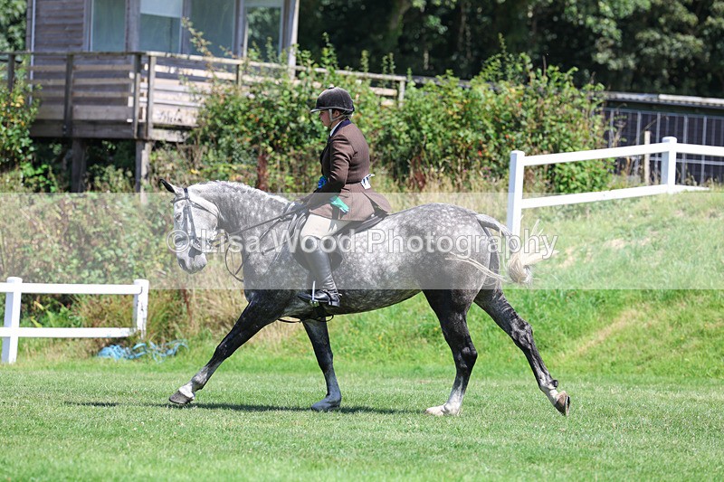 3E7A9196 - Working Hunter Championship