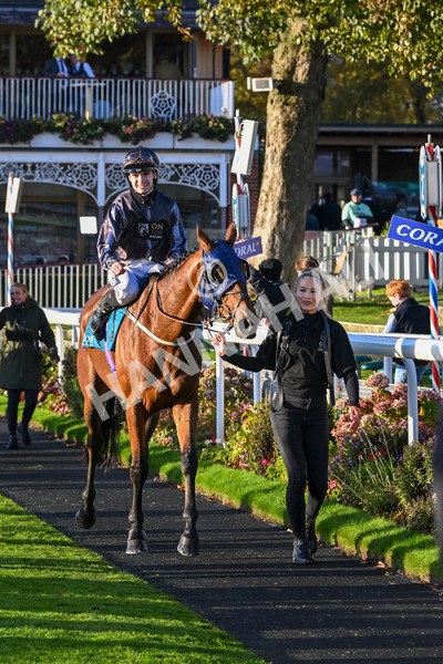 121024-Race 7-Two Brothers-3654 - Race 7 5.05pm Coral Committed To Safer Gambling Finale Handicap