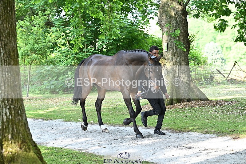 250521A-164333-01298 - C-255-Rupert.Hyde-LEONIDAS.VAN.DE.CRUMELHAEVE