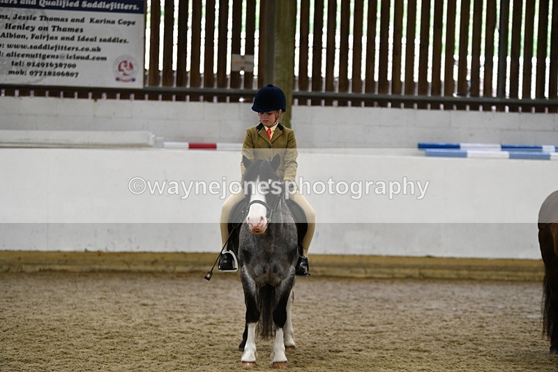 WJ5_7047 - Class 10 Childs Pony