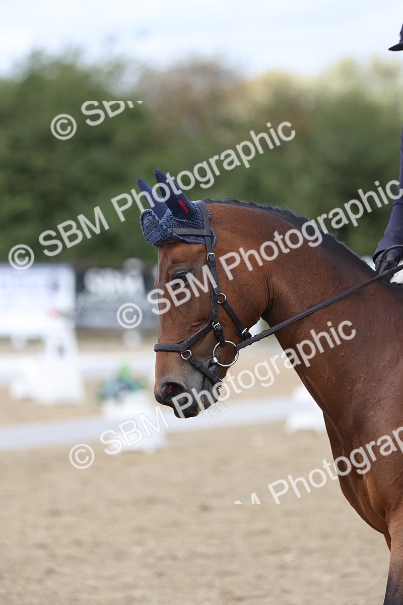 SBM_003909 - Class 9 - Novice 3 Champs