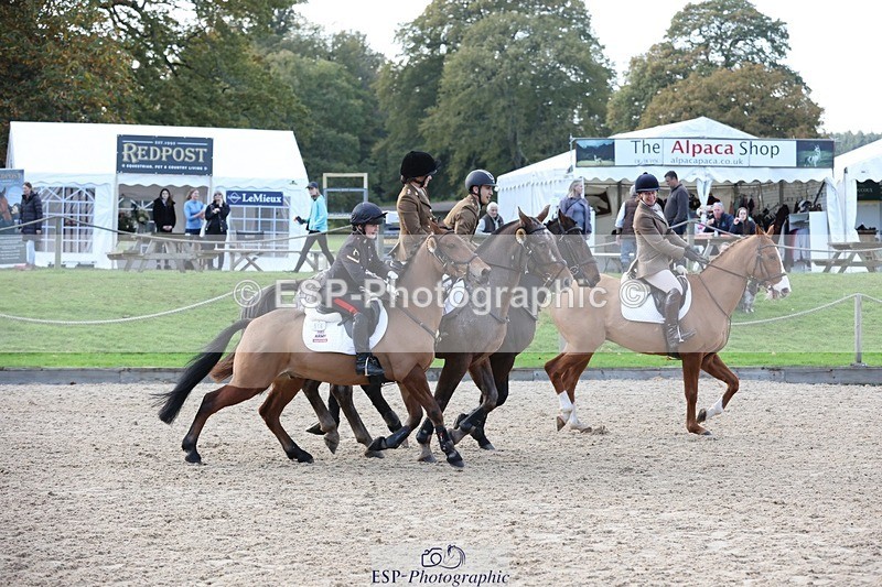 241027-152805-18334 - Presentations - BE100 3DE