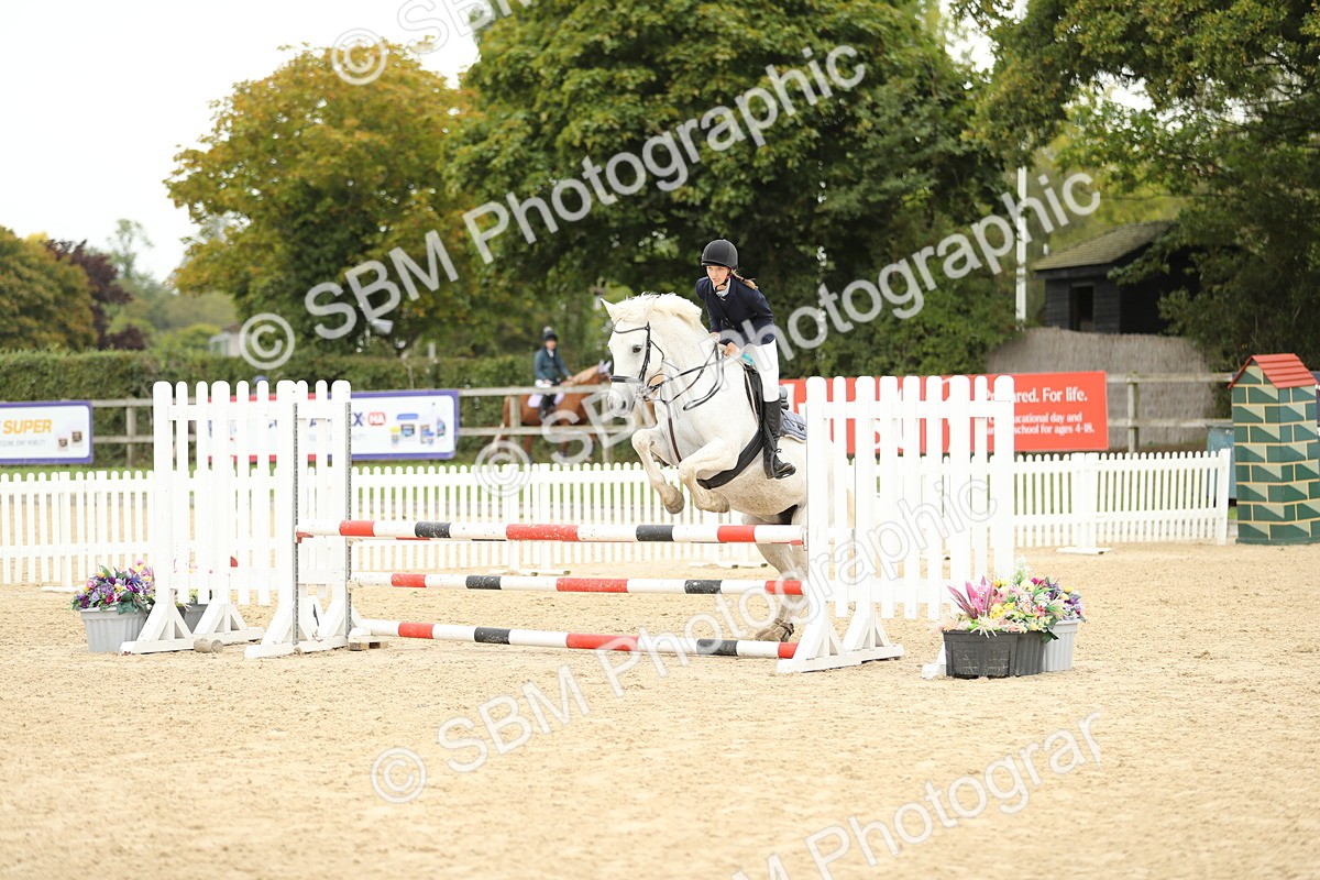 SBM_63148 - Supreme championship 75cm 80cm