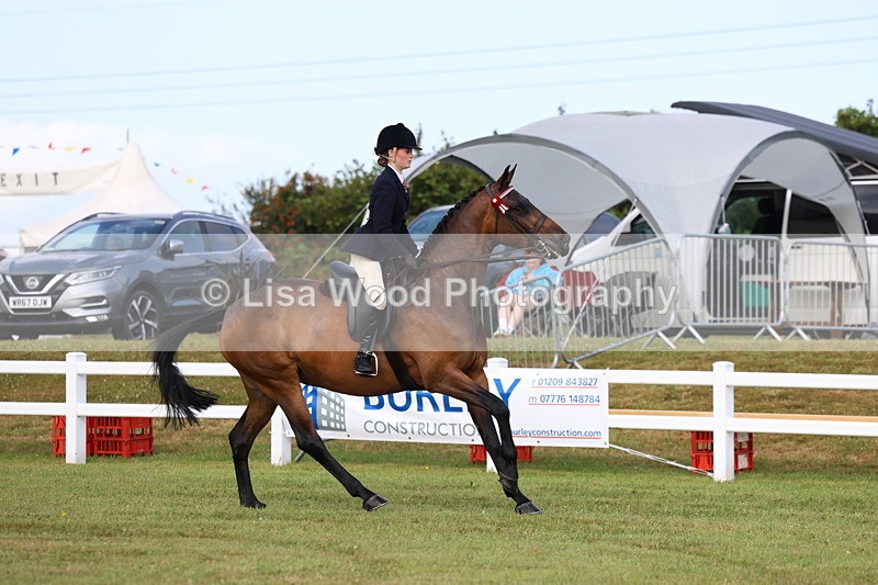 3E7A8168 - Class 2: Rising Star Large Hack/Riding Horse