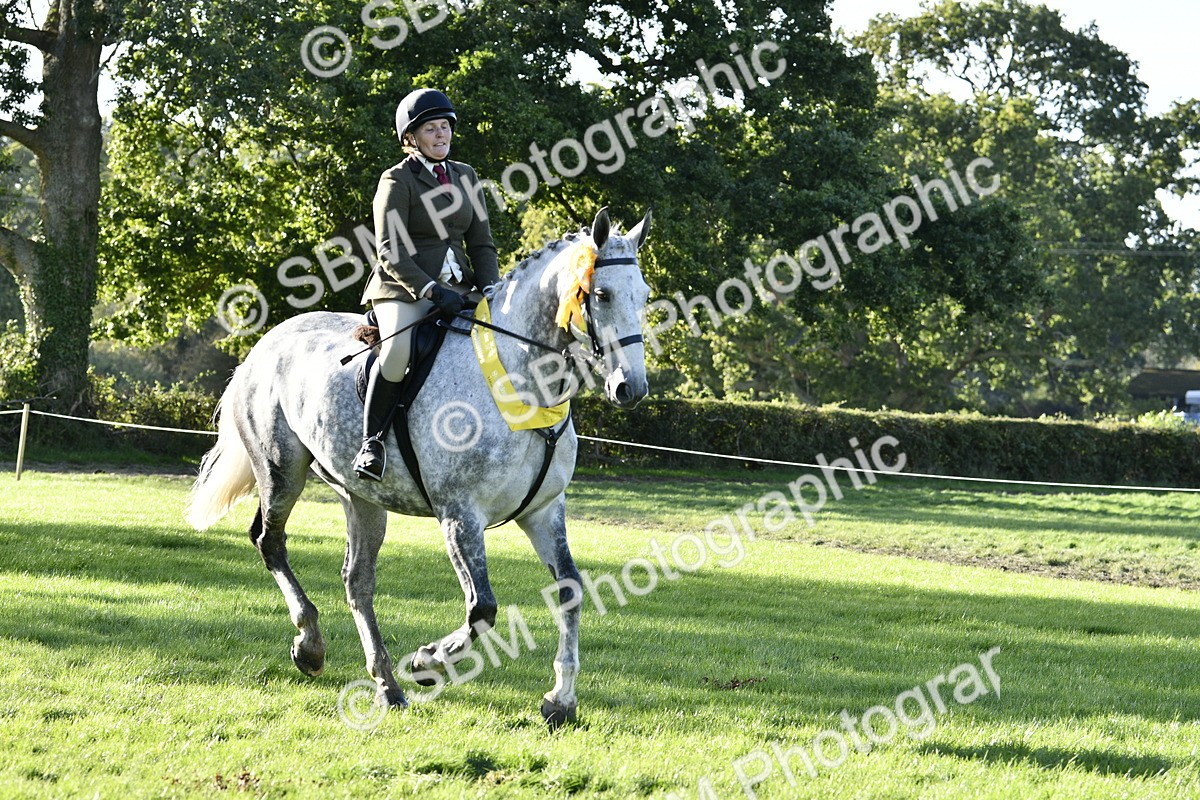 SBM_52279 - S35 - Working Hunter & Working Show Horse
