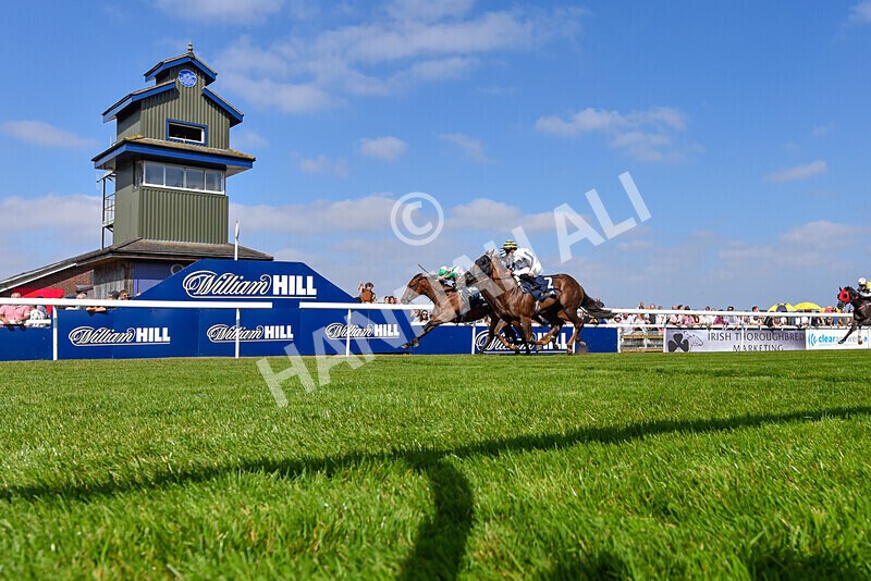 310824-Race 2-Democracy Dilemma-5882 - Race 2