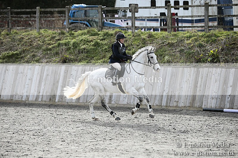 BVRC SJ 170319 714 - Bourne Valley Riding Club Showjumping 17/03/19